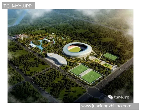 成都篮球队的现状揭秘与未来展望探讨