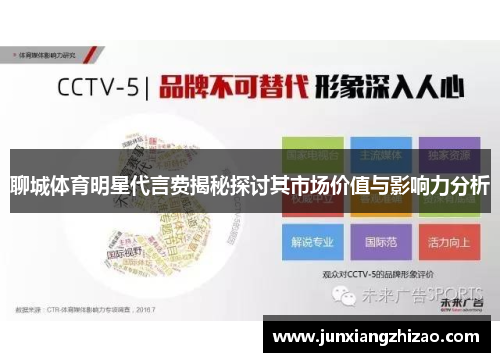 聊城体育明星代言费揭秘探讨其市场价值与影响力分析